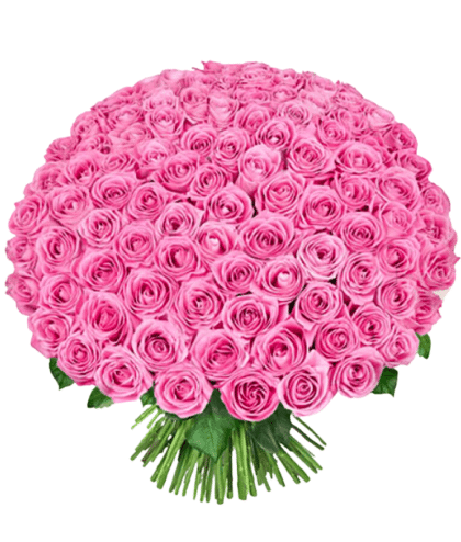 Pink roses handbunch