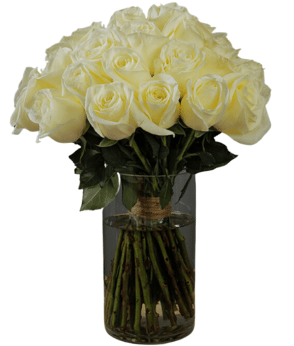 white roses in vase