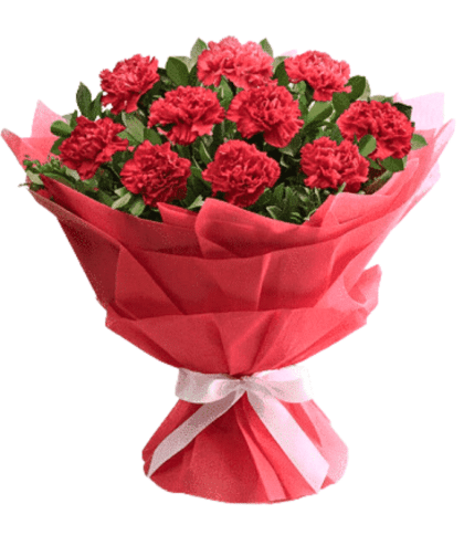 red carnation hand bouquet
