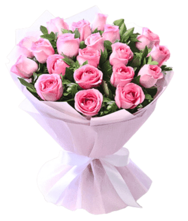 baby pink roses handbunch