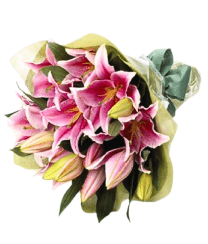 Pink lilies handbunch