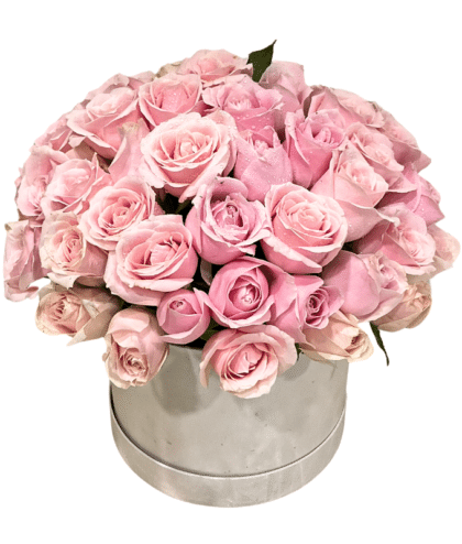 Sweet pink roses arrange in white box