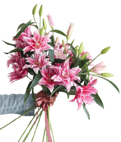 Pink Lilies Handbunch