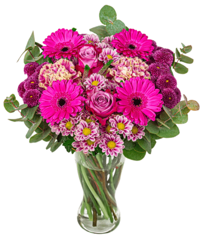 purple roses,purple chrysathemums,dark pink gerbaras, eucalptus leaves arrangement in glass vase