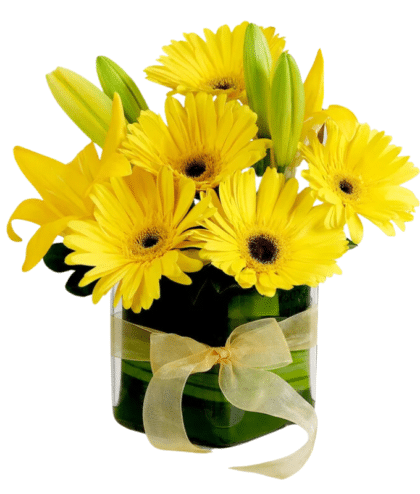 yellow gerbaras and yellow lilies in glass vase