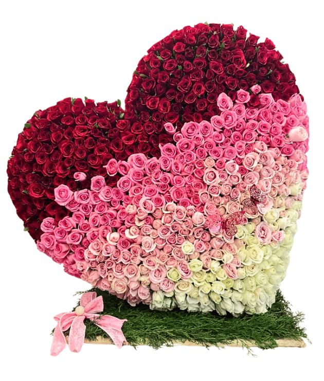 A breathtaking heart-shaped arrangement crafted with 500 premium roses in a stunning gradient of colors