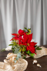 flowers_for_christmas